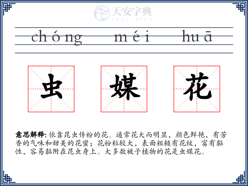 虫媒花