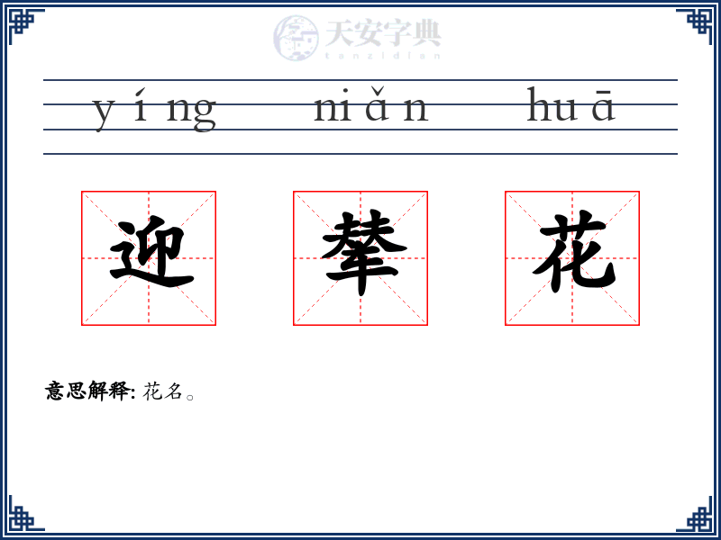 迎辇花