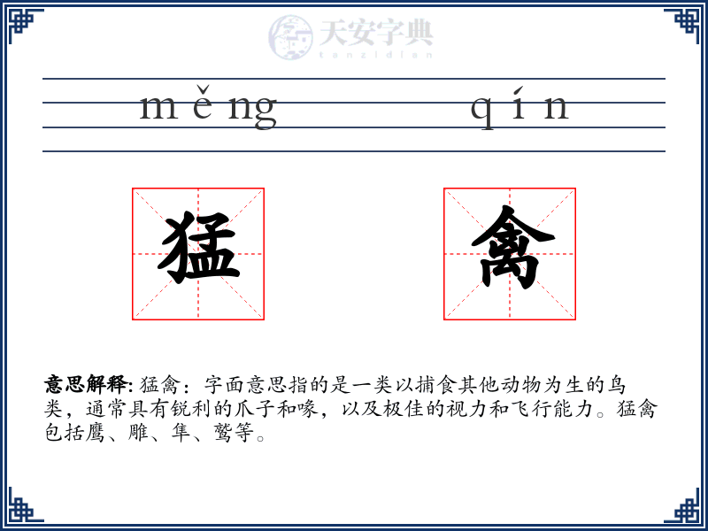 猛禽