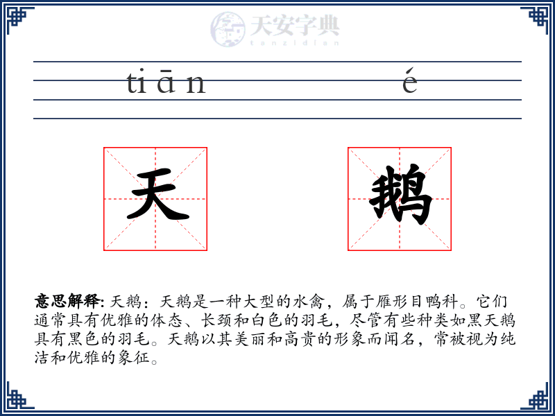 天鹅