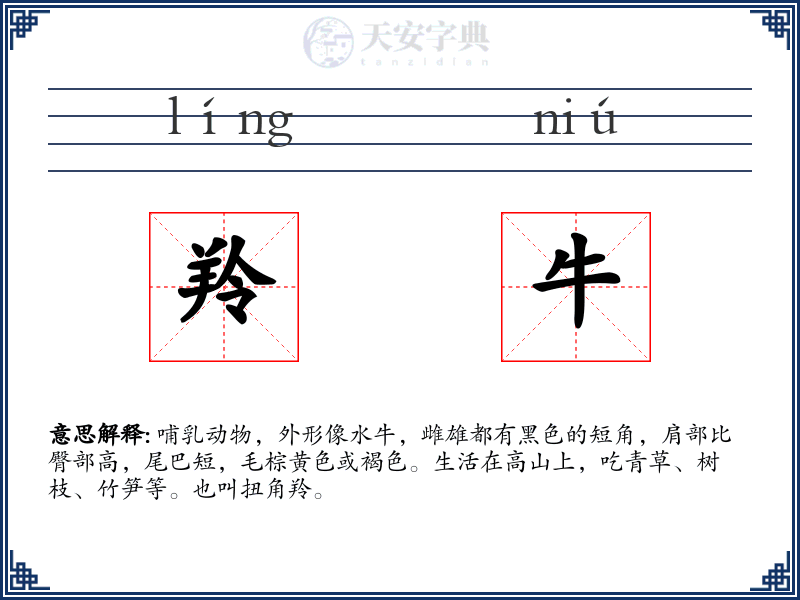 羚牛