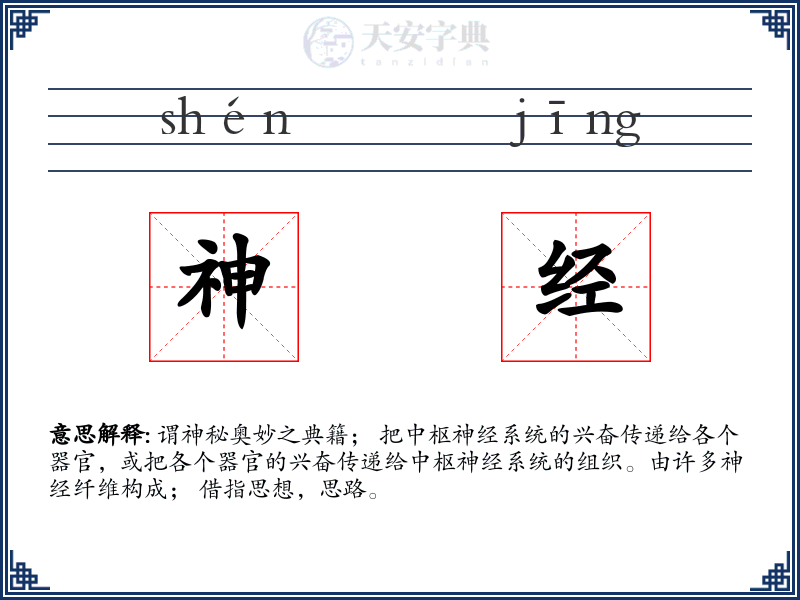 神经