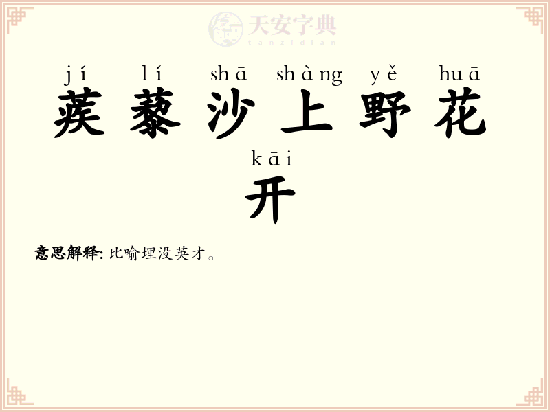 蒺藜沙上野花开