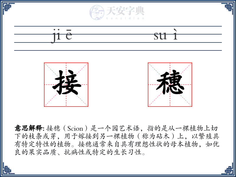 接穗