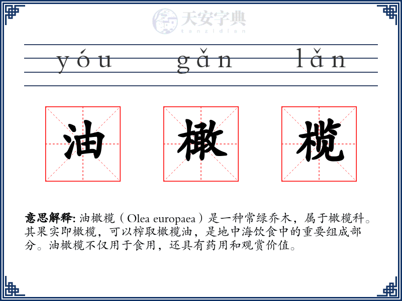 油橄榄