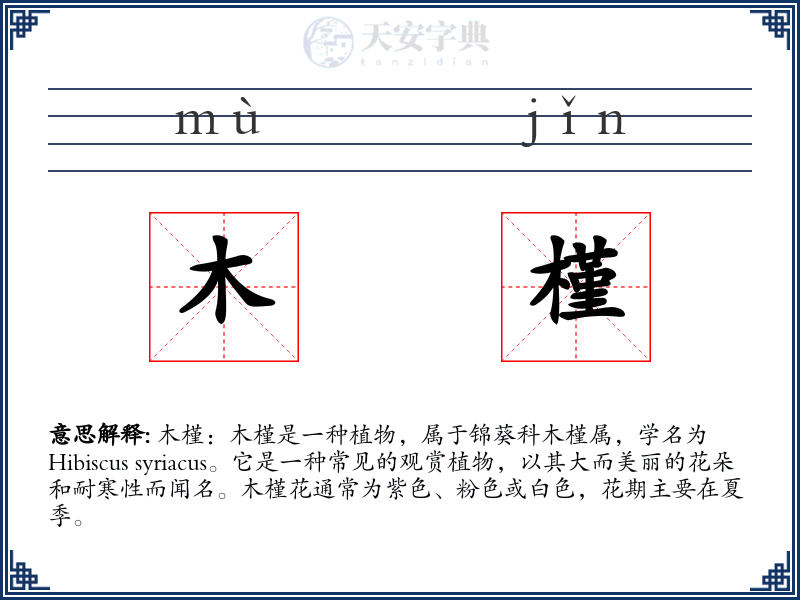 木槿