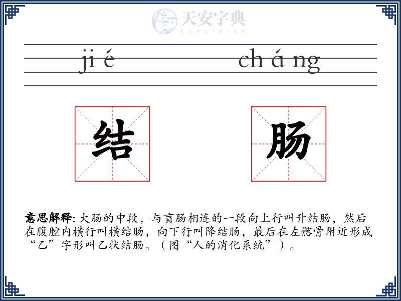 结肠