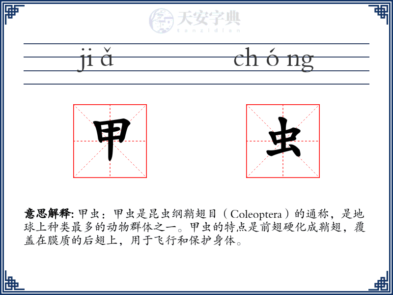 甲虫