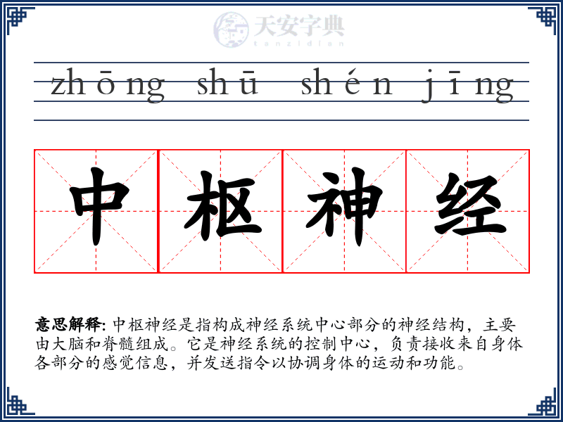 中枢神经