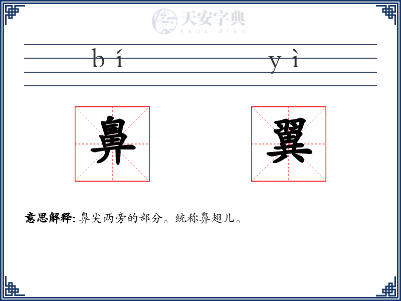 鼻翼