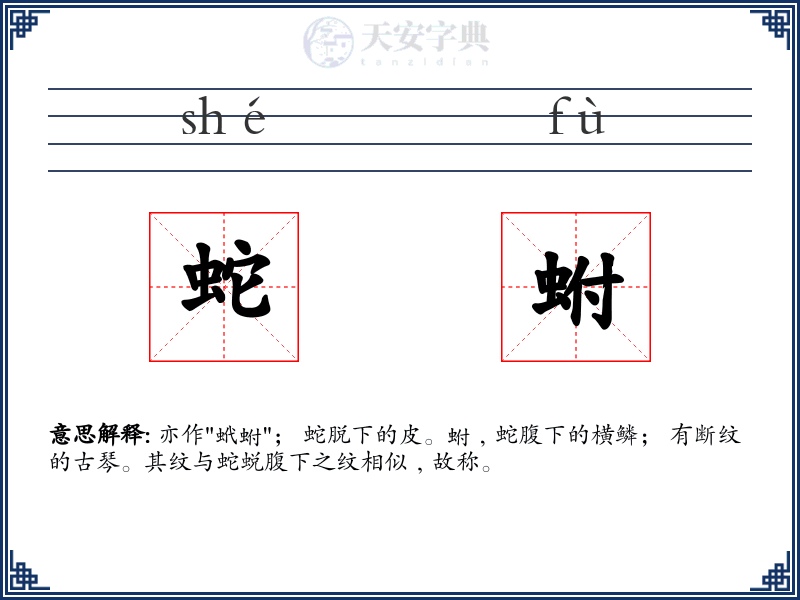 蛇蚹