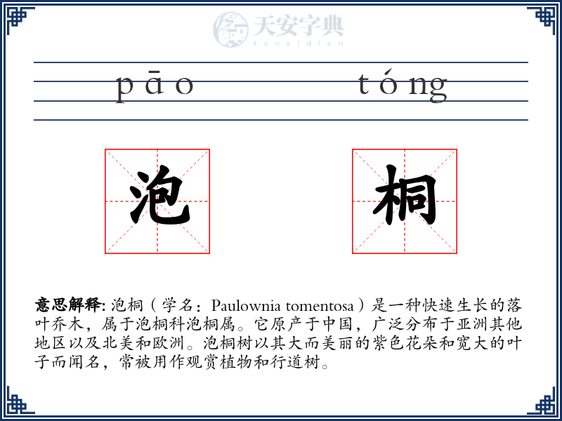 泡桐