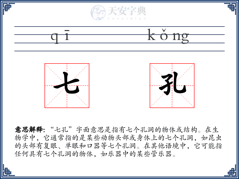 七孔