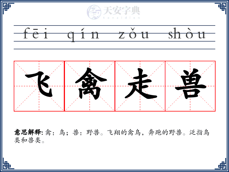飞禽走兽