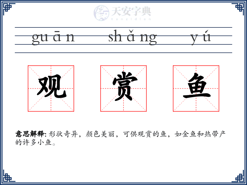 观赏鱼