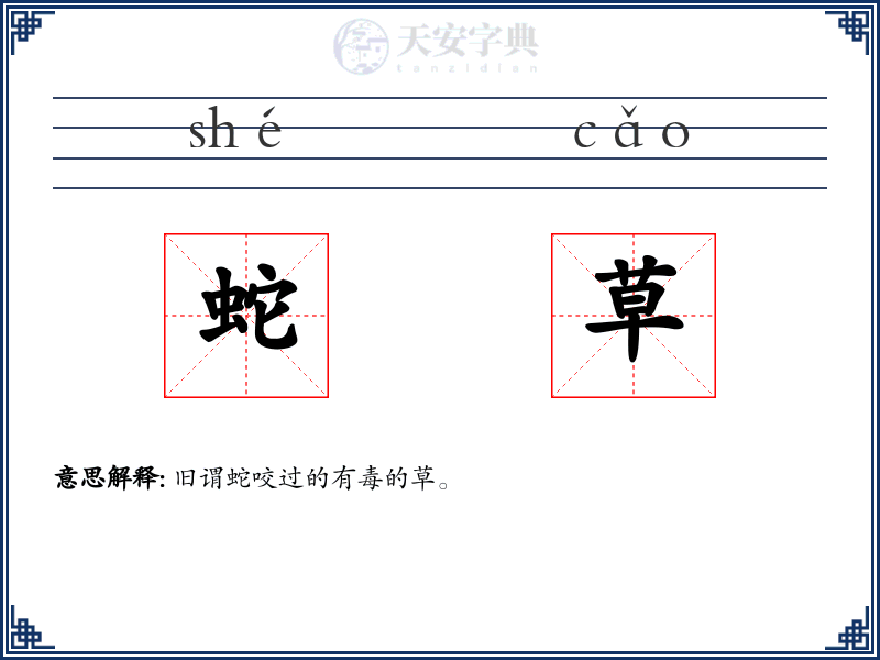 蛇草