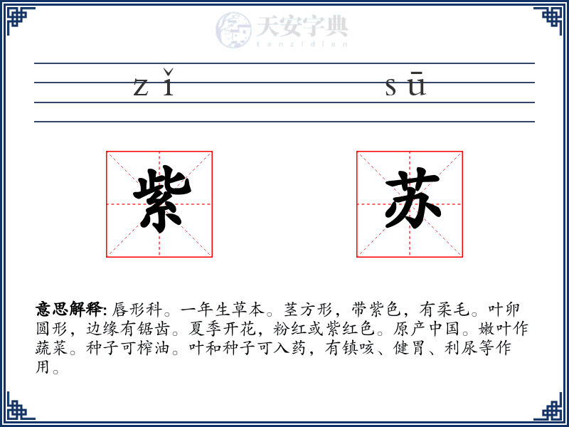 紫苏