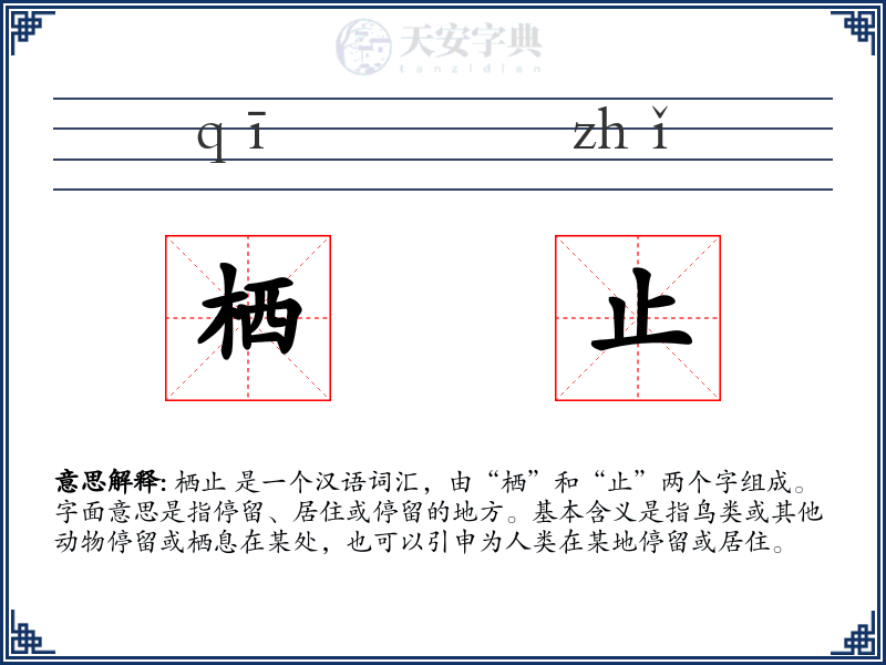 栖止