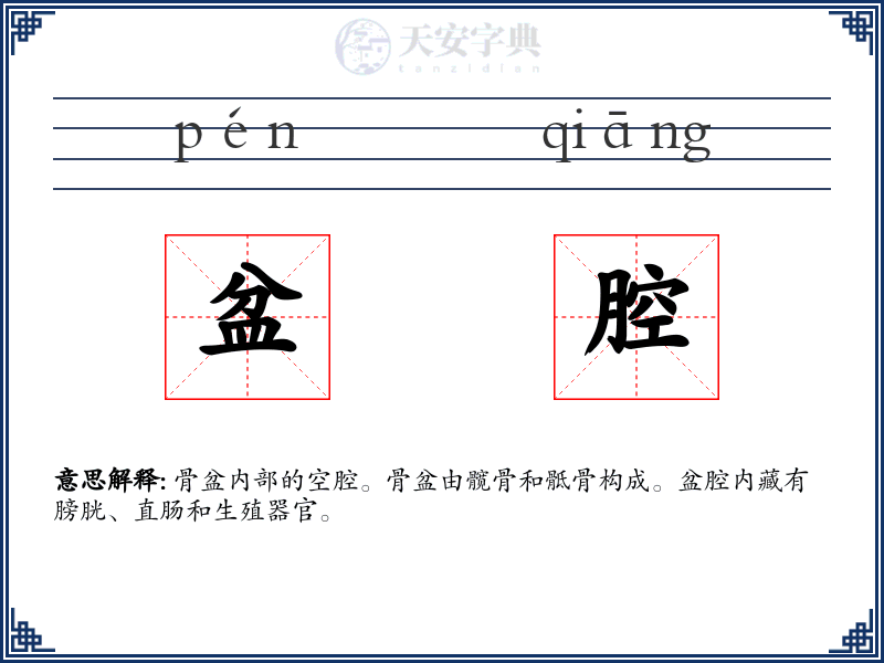 盆腔