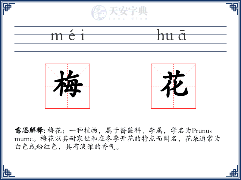 梅花
