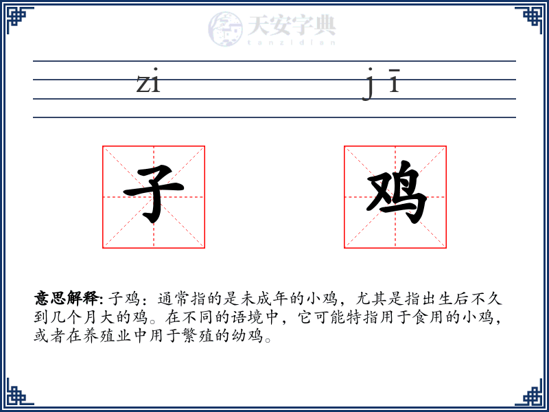 子鸡