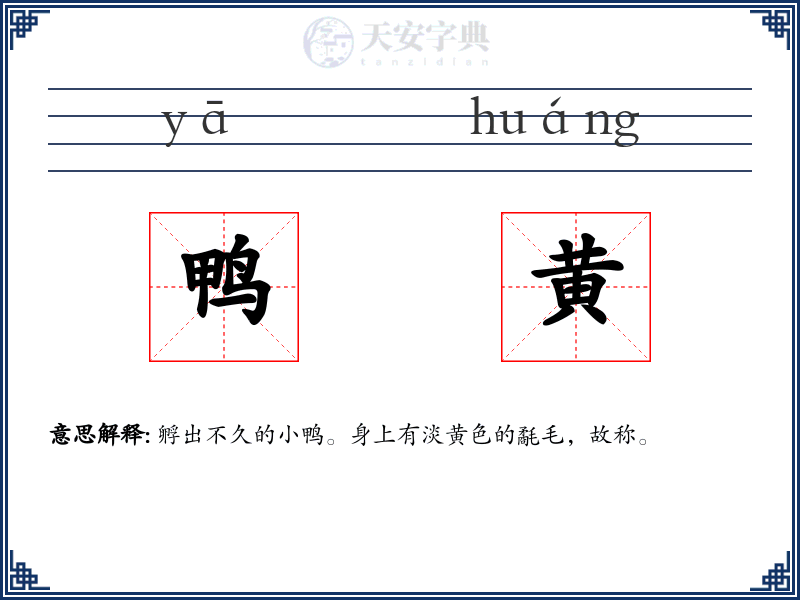 鸭黄