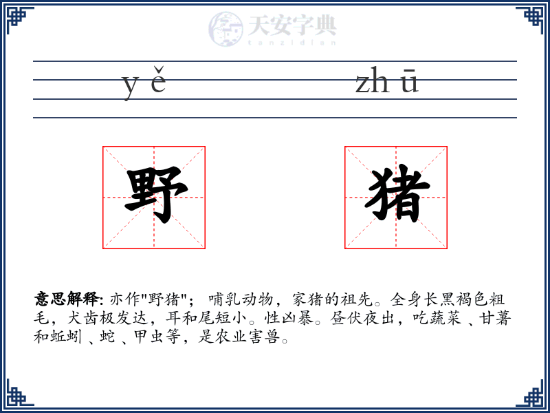 野猪