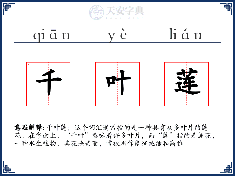 千叶莲