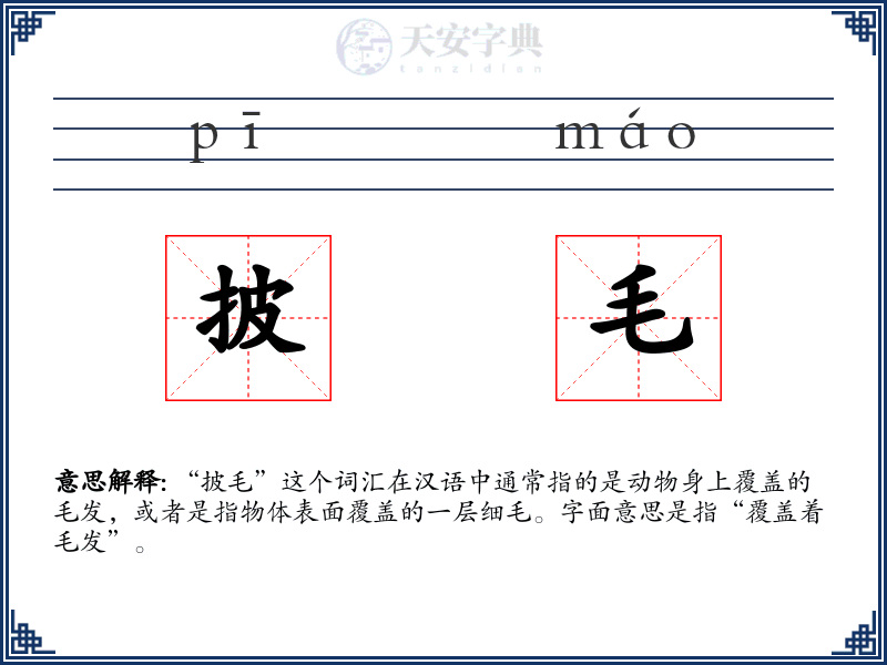 披毛