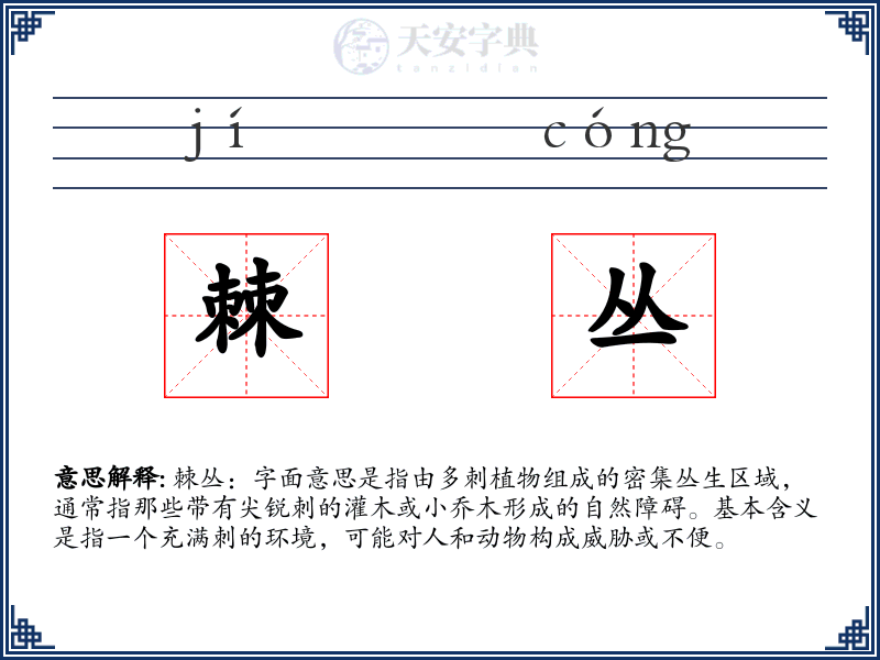 棘丛