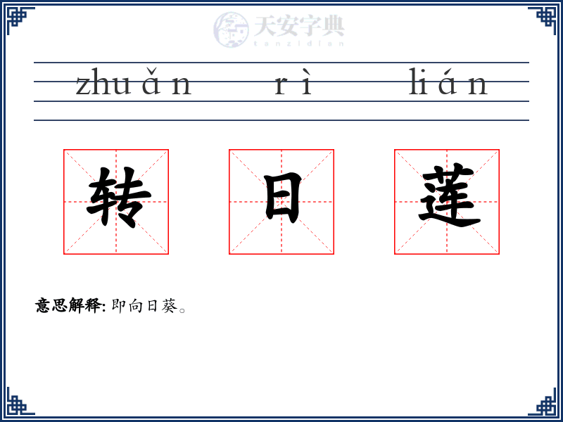 转日莲