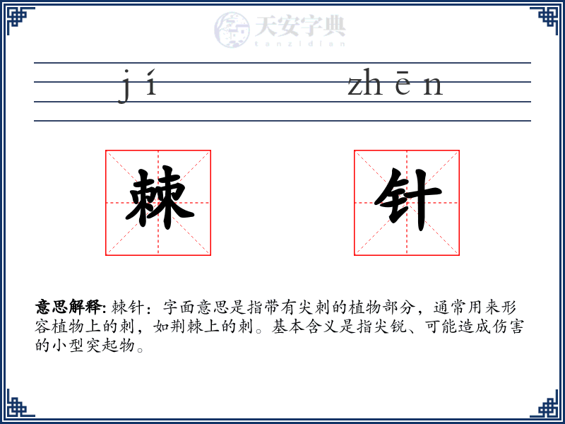 棘针
