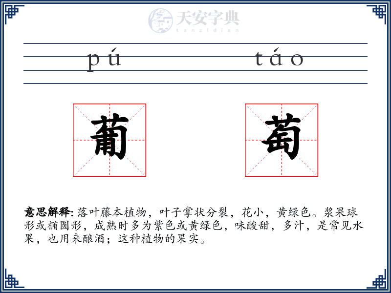 葡萄