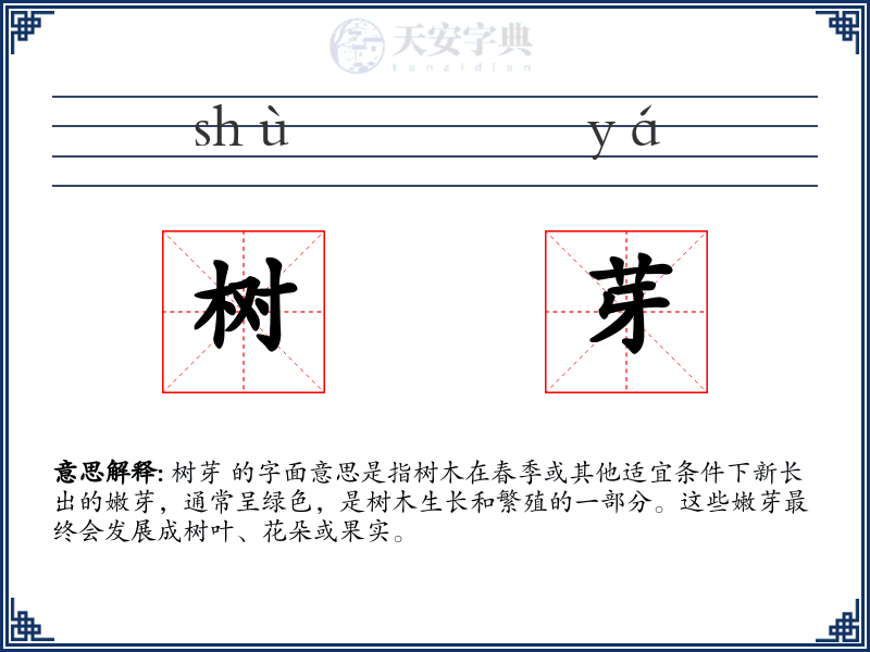 树芽