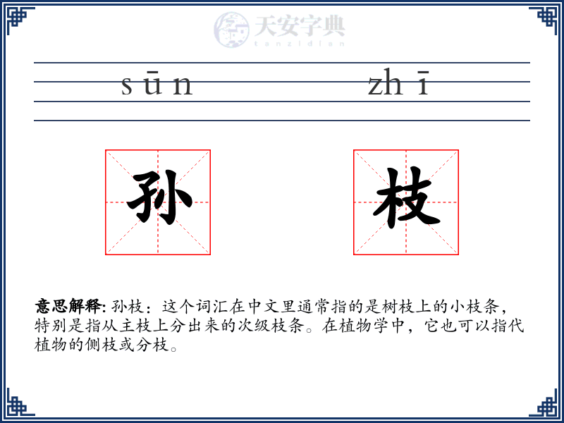 孙枝