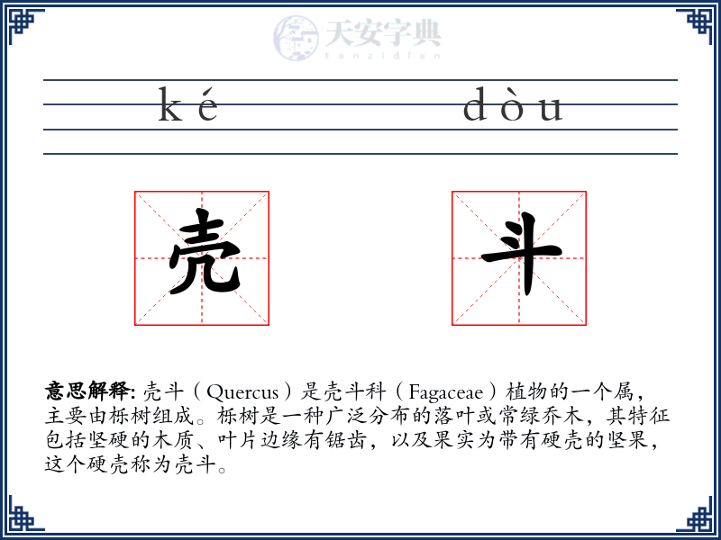 壳斗
