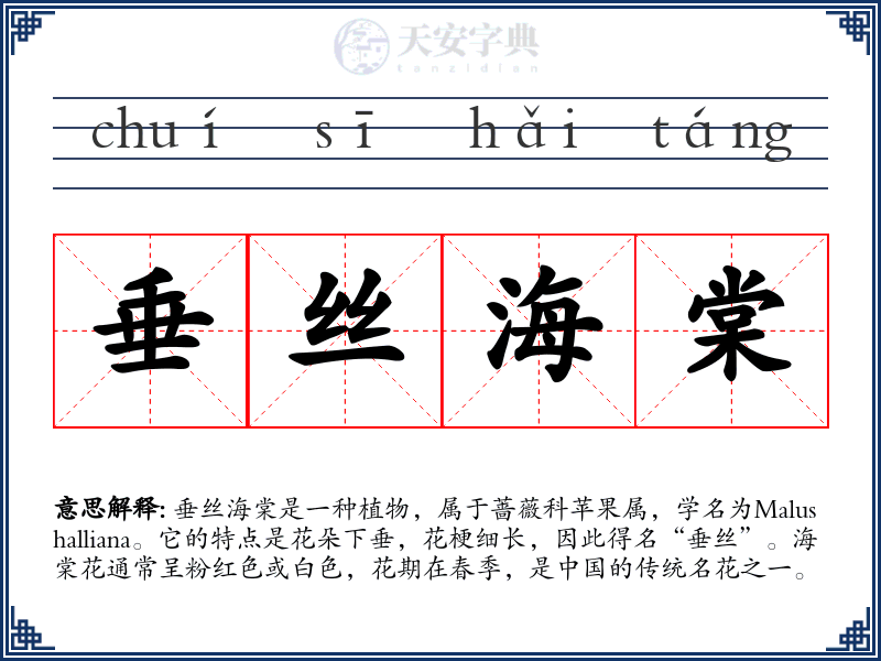 垂丝海棠