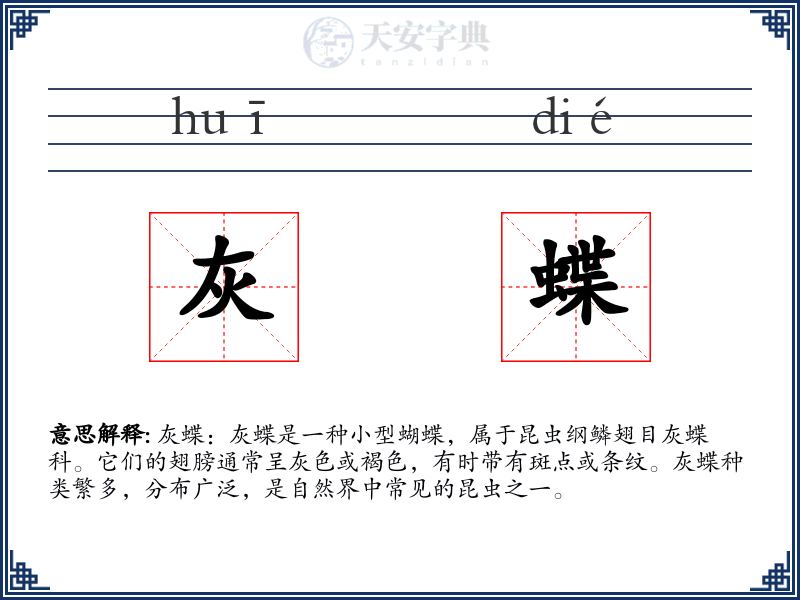 灰蝶