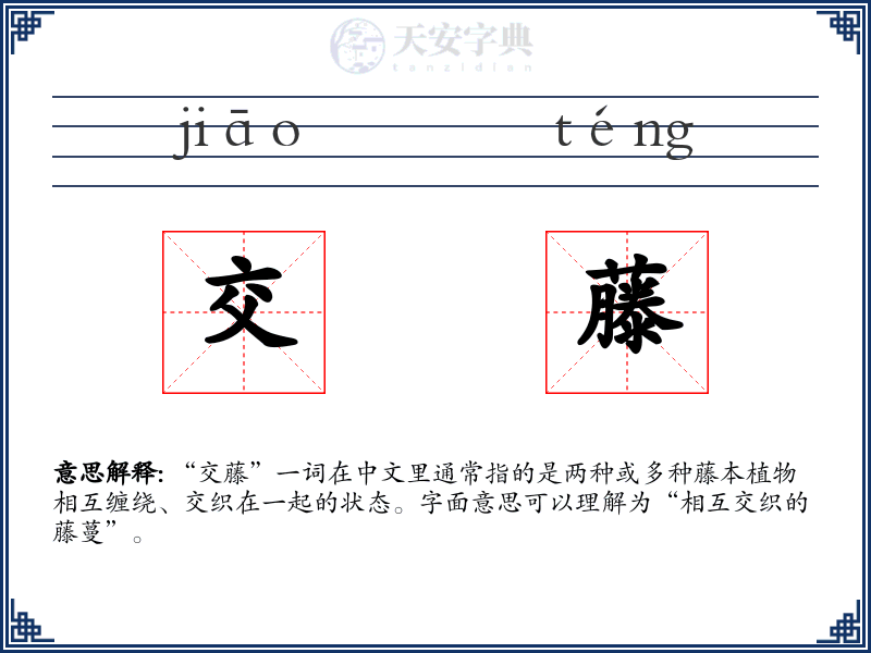 交藤
