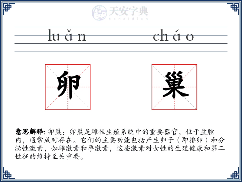 卵巢