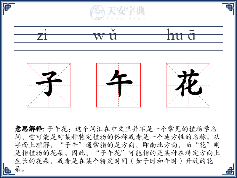 子午花