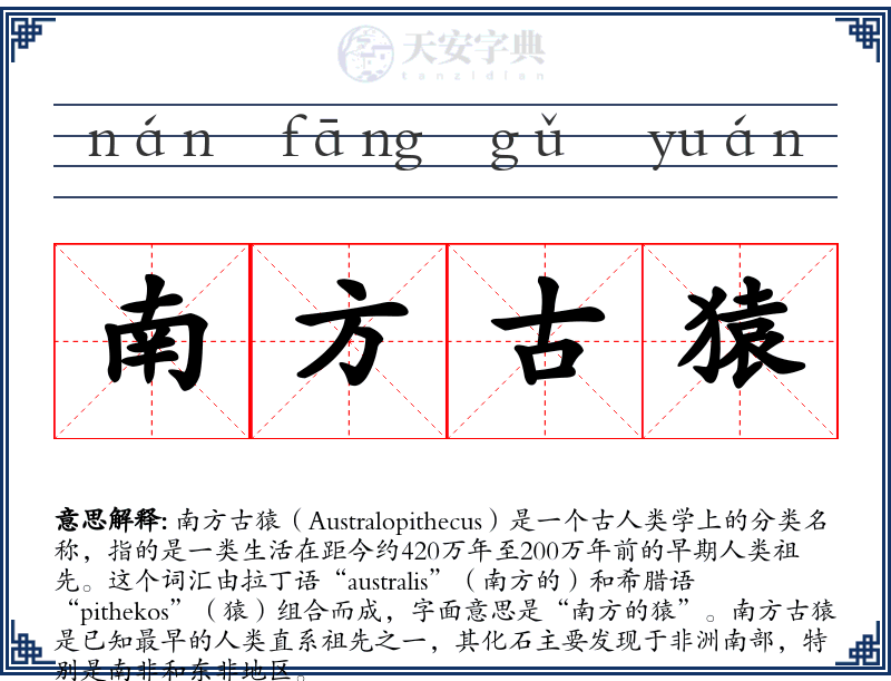 南方古猿
