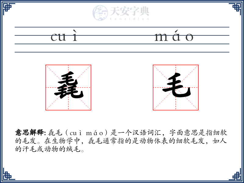 毳毛