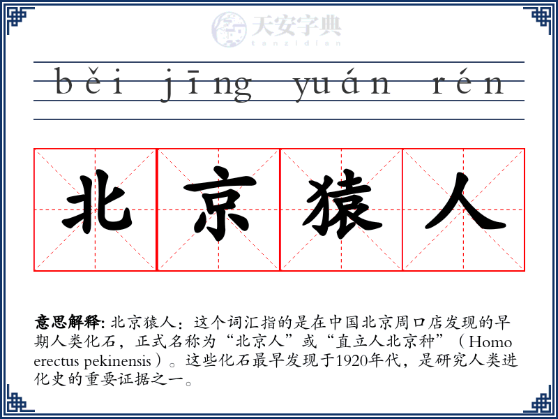 北京猿人