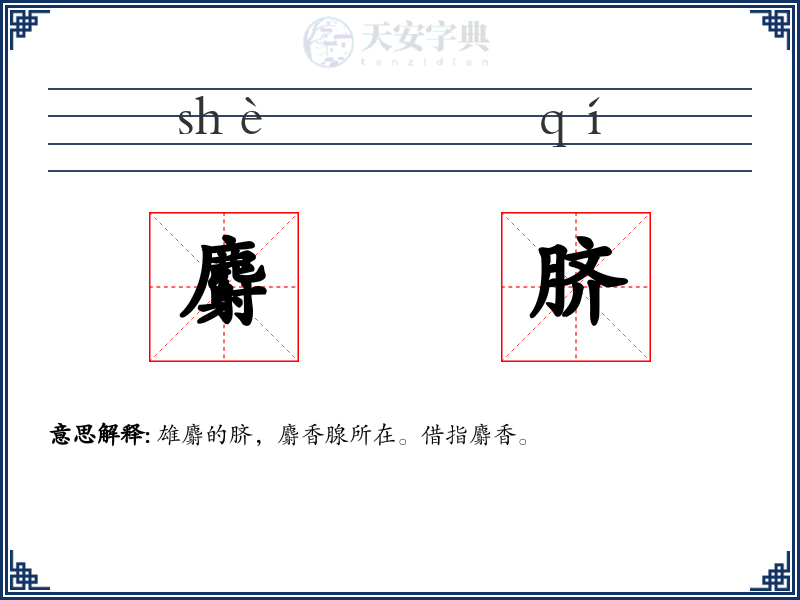 麝脐