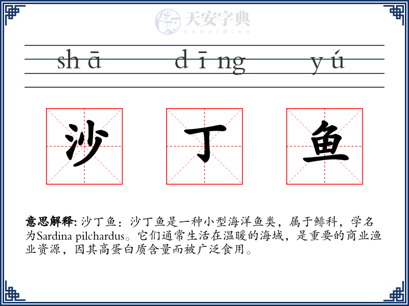 沙丁鱼