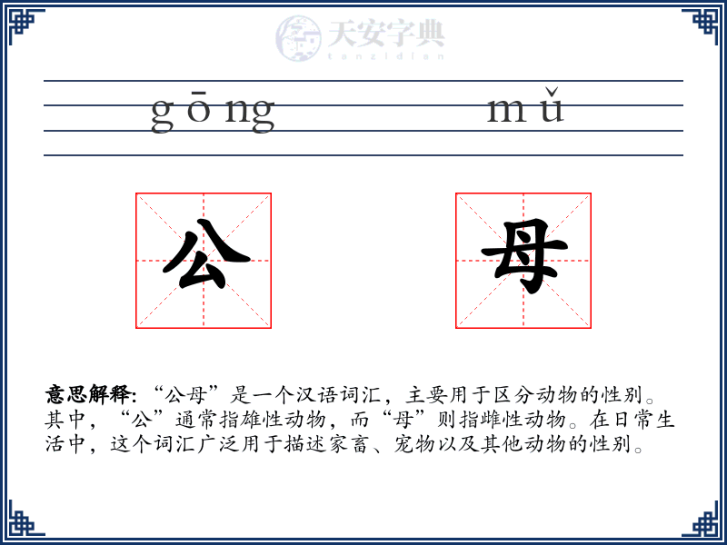 公母