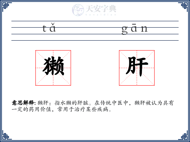 獭肝