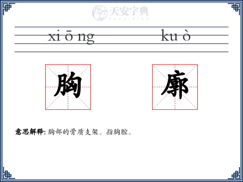 胸廓