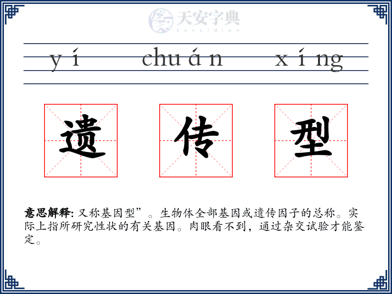 遗传型